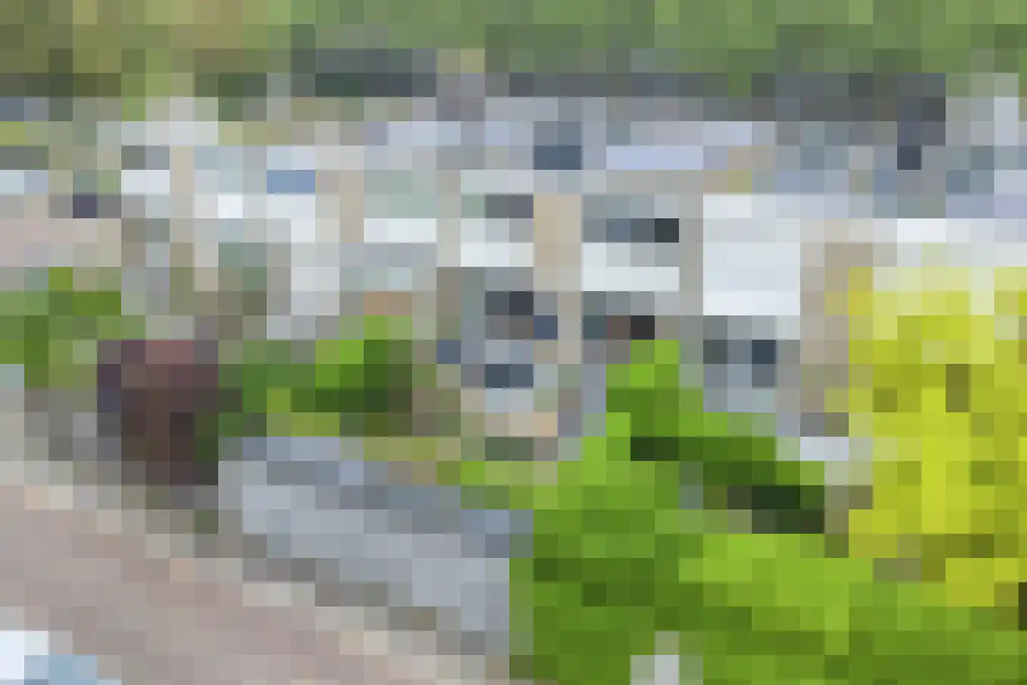 Pettelaarseweg 583 's-Hertogenbosch thumbnail 60