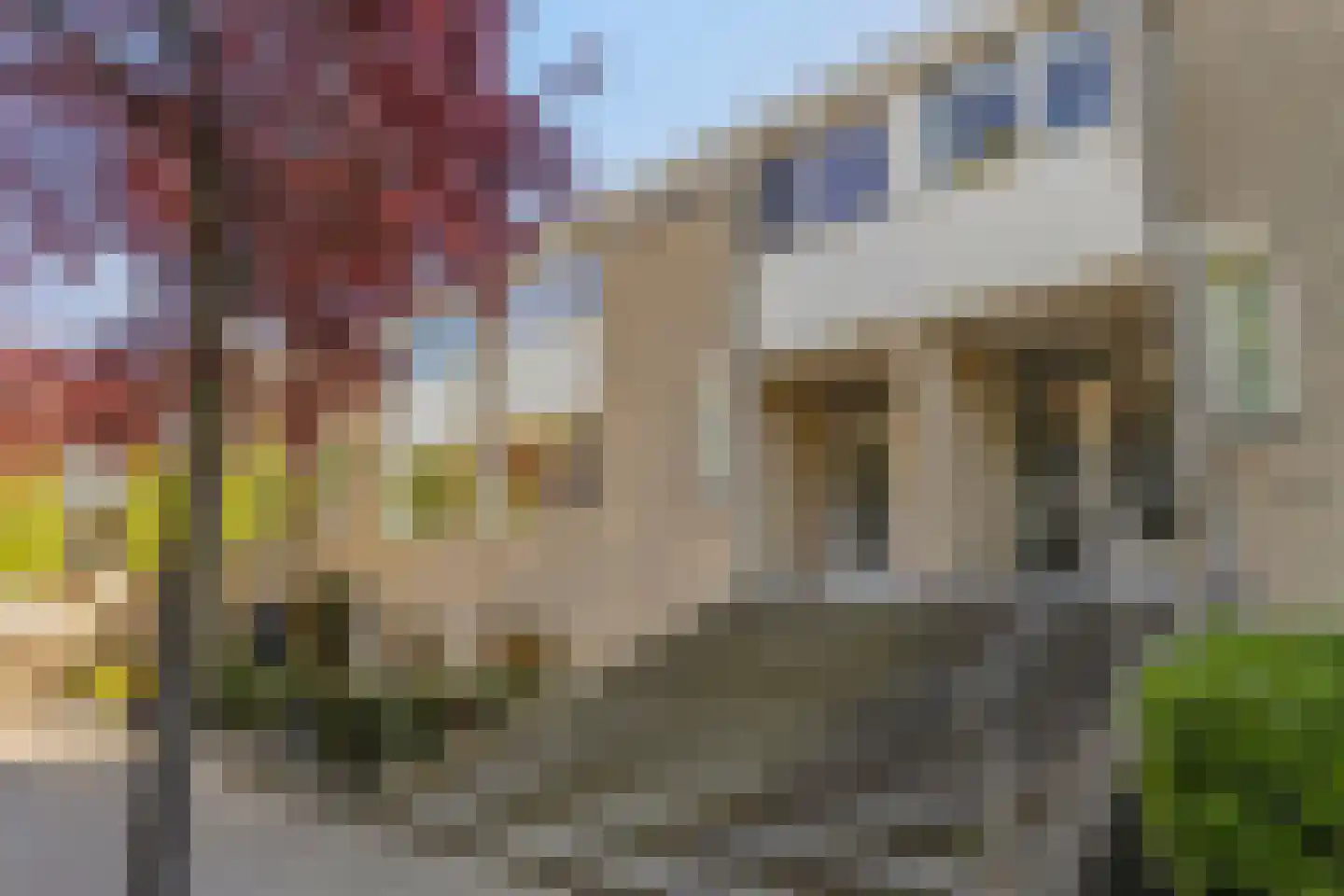 Pettelaarseweg 583 's-Hertogenbosch thumbnail 8