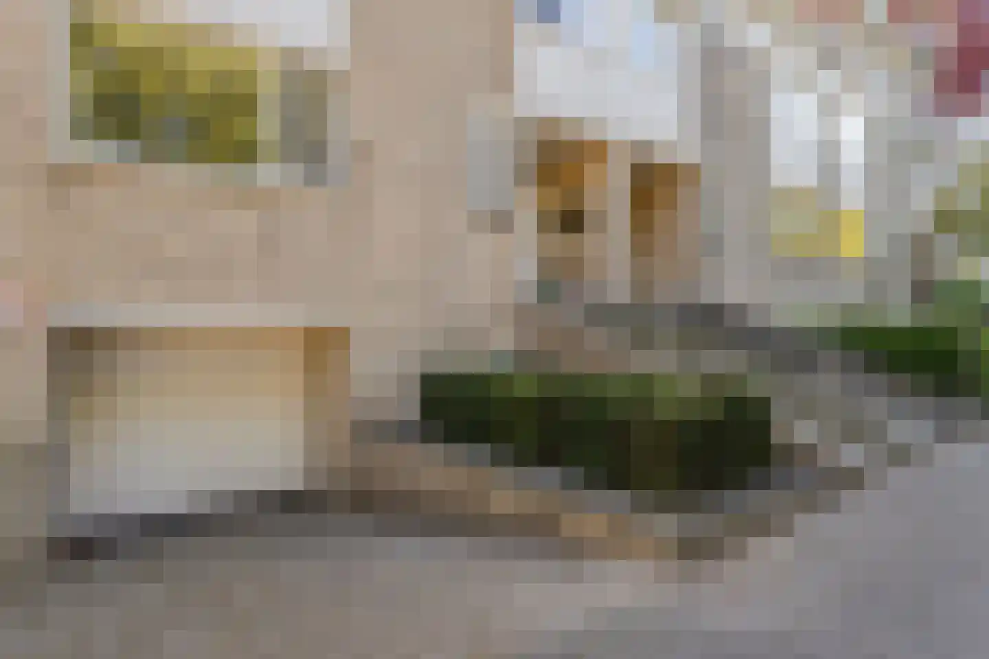 Pettelaarseweg 583 's-Hertogenbosch thumbnail 9