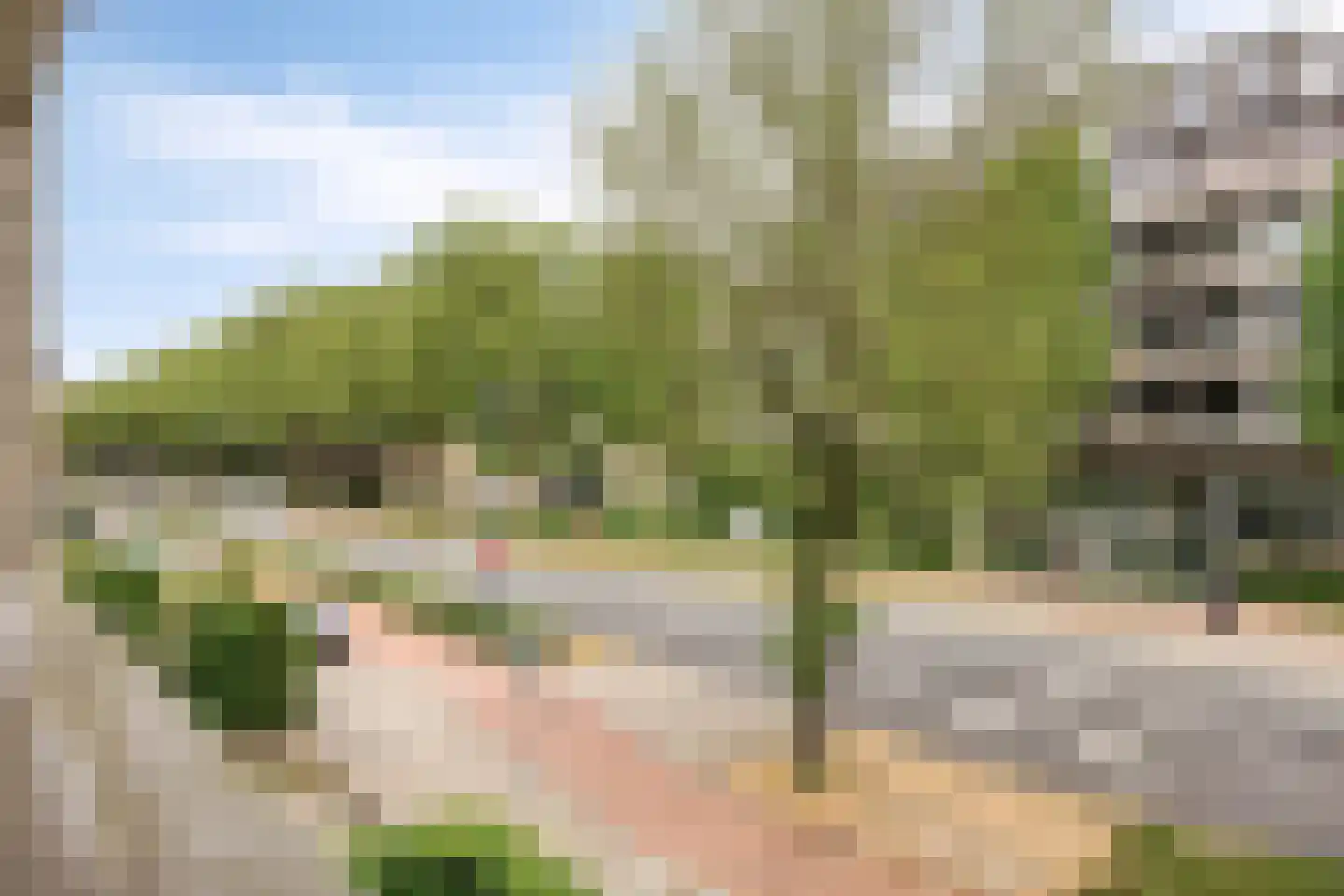 Pettelaarseweg 619 's-Hertogenbosch thumbnail 15