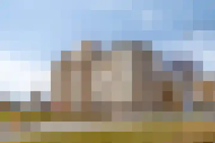 Pettelaarseweg 629 's-Hertogenbosch thumbnail 14