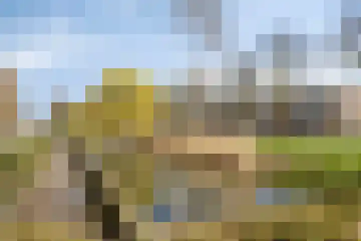 Pettelaarseweg 629 's-Hertogenbosch thumbnail 15