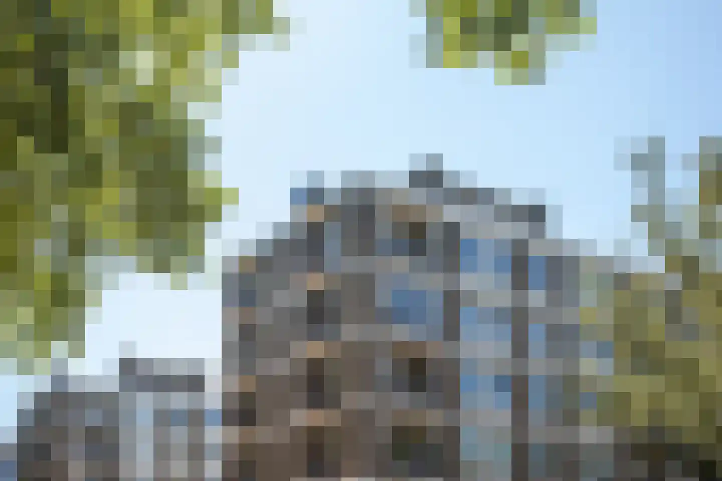 Pettelaarseweg 63 's-Hertogenbosch thumbnail 10