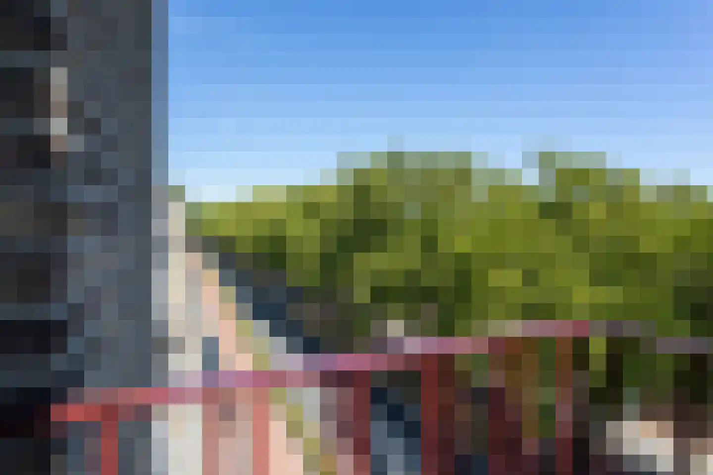 Pettelaarseweg 63 's-Hertogenbosch thumbnail 25