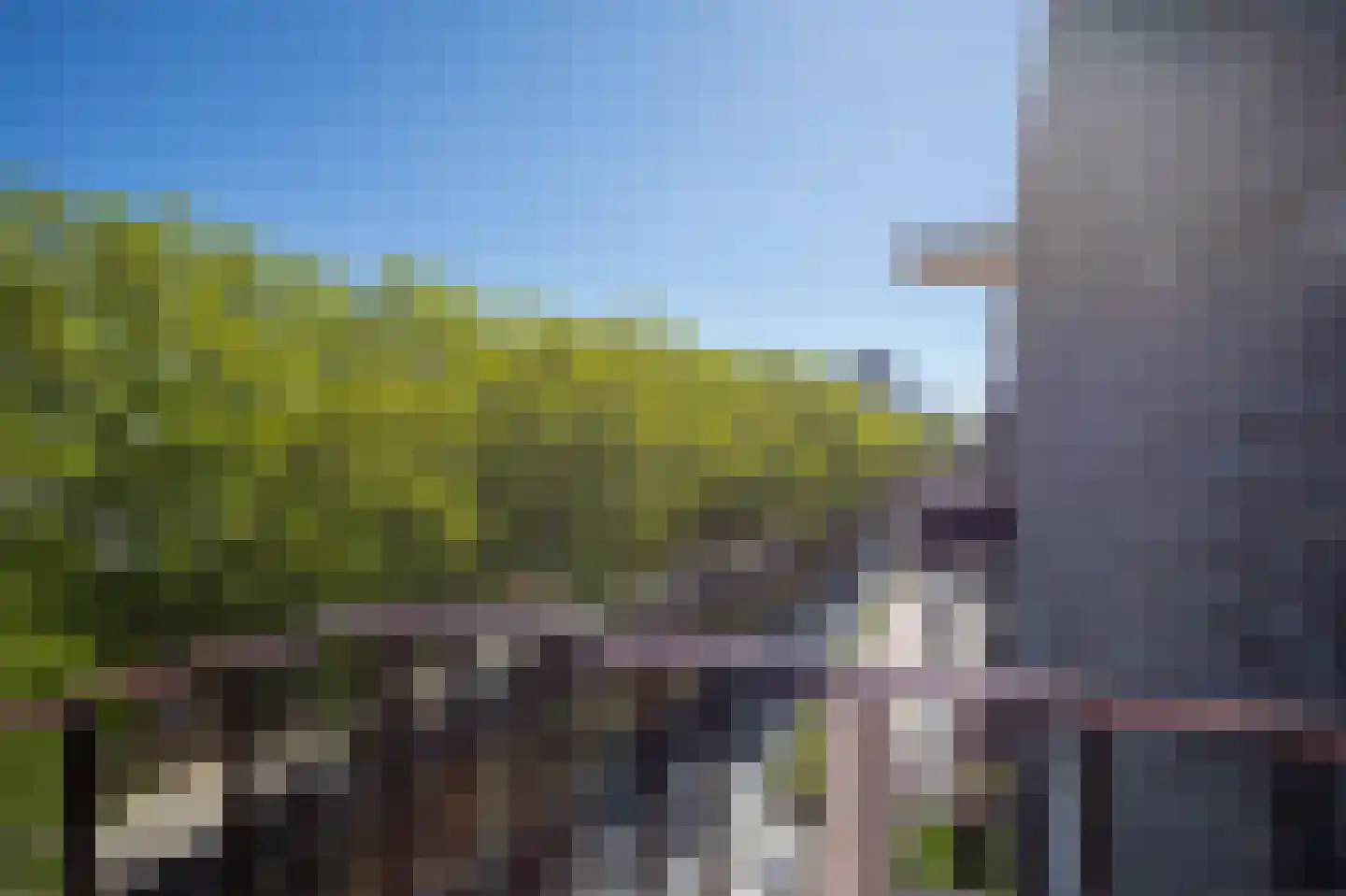 Pettelaarseweg 63 's-Hertogenbosch thumbnail 26