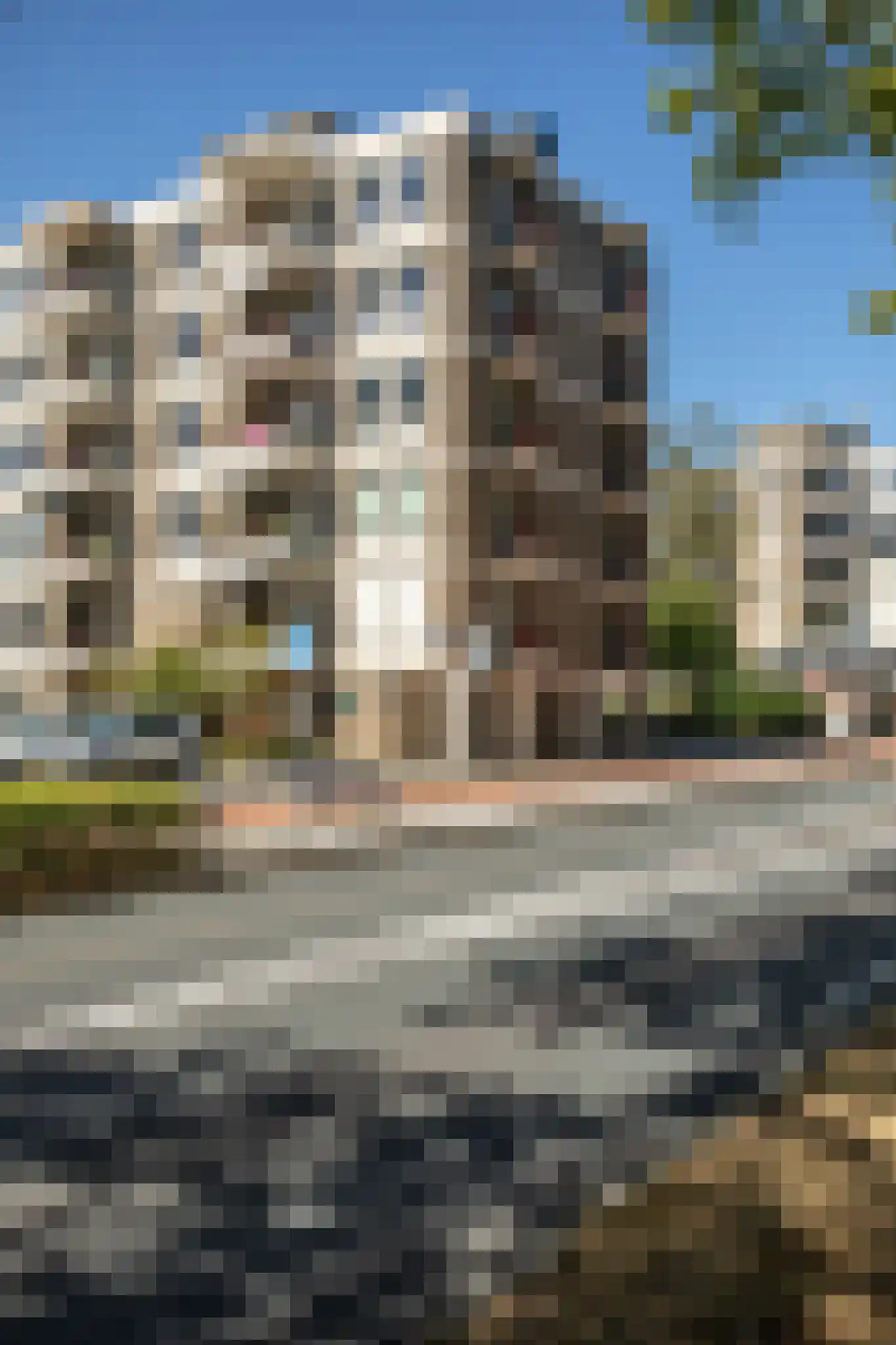 Pettelaarseweg 63 's-Hertogenbosch thumbnail 40