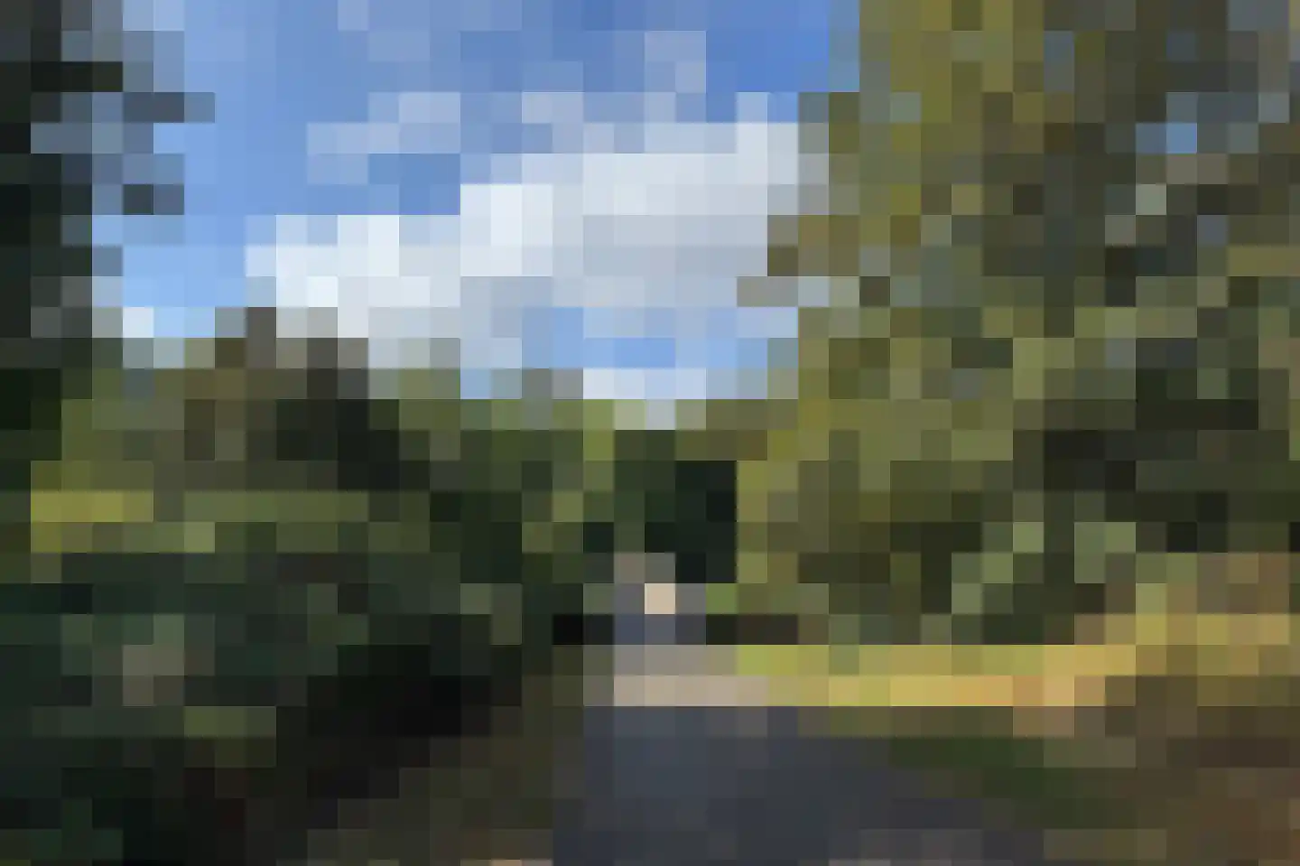 Pettelaarseweg 63 's-Hertogenbosch thumbnail 41