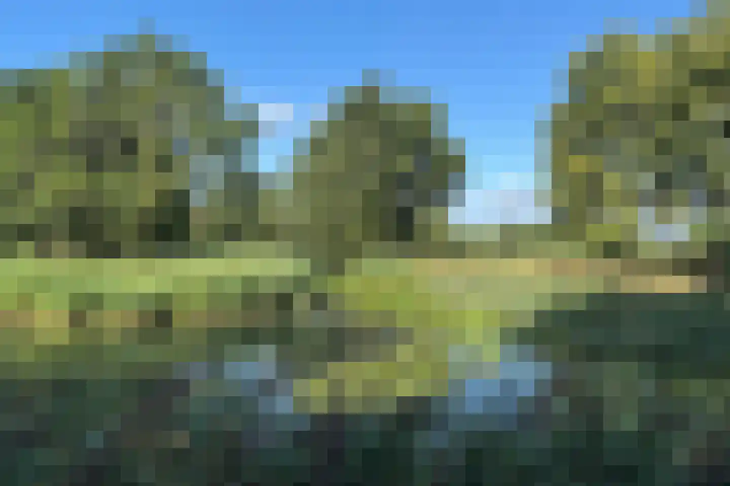 Pettelaarseweg 63 's-Hertogenbosch thumbnail 42