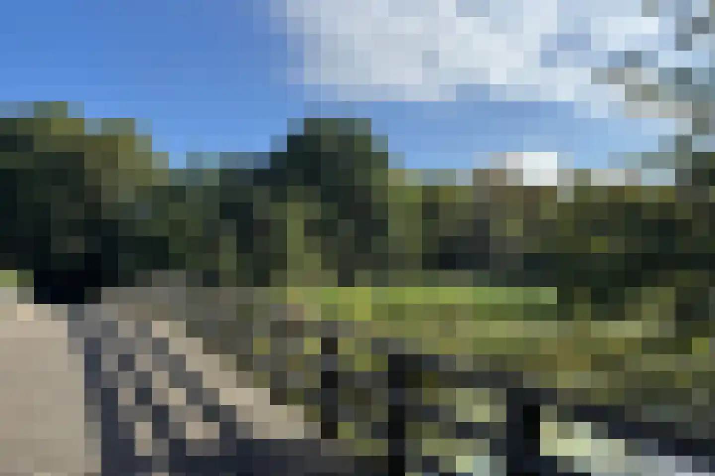 Pettelaarseweg 63 's-Hertogenbosch thumbnail 45