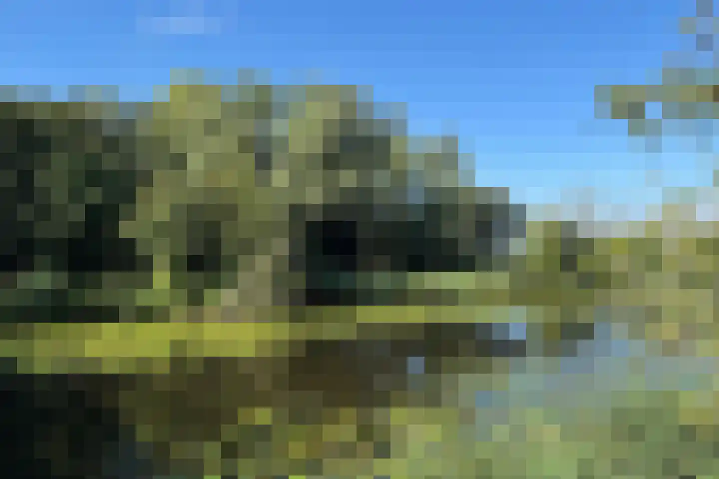 Pettelaarseweg 63 's-Hertogenbosch thumbnail 48