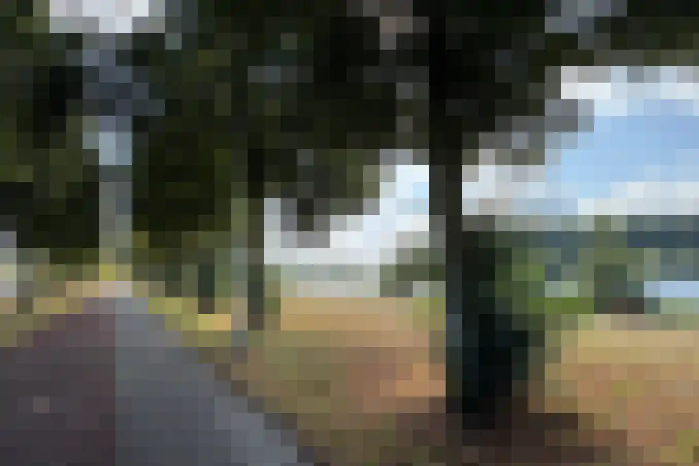 Pettelaarseweg 63 's-Hertogenbosch thumbnail 58