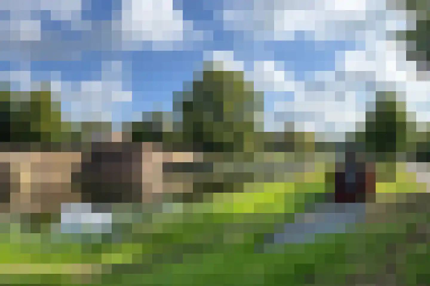 Pettelaarseweg 63 's-Hertogenbosch thumbnail 60