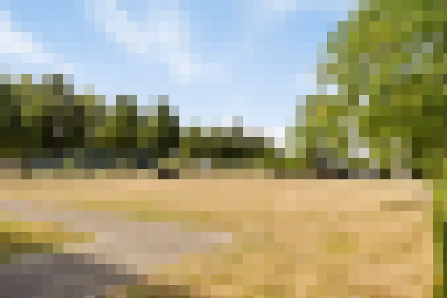 Pettelaarseweg 639 's-Hertogenbosch thumbnail 17