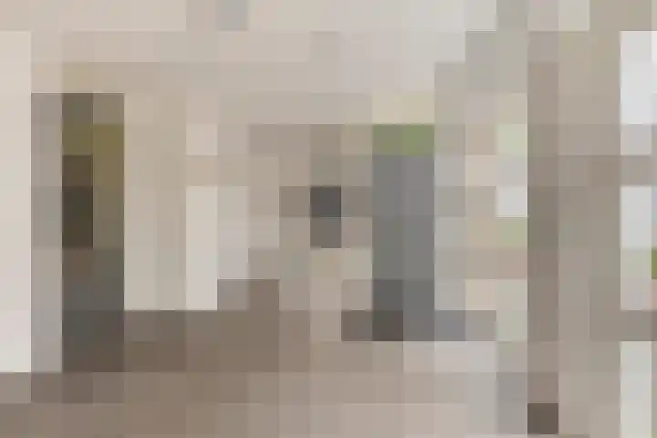 Pettelaarseweg 643 's-Hertogenbosch thumbnail 19