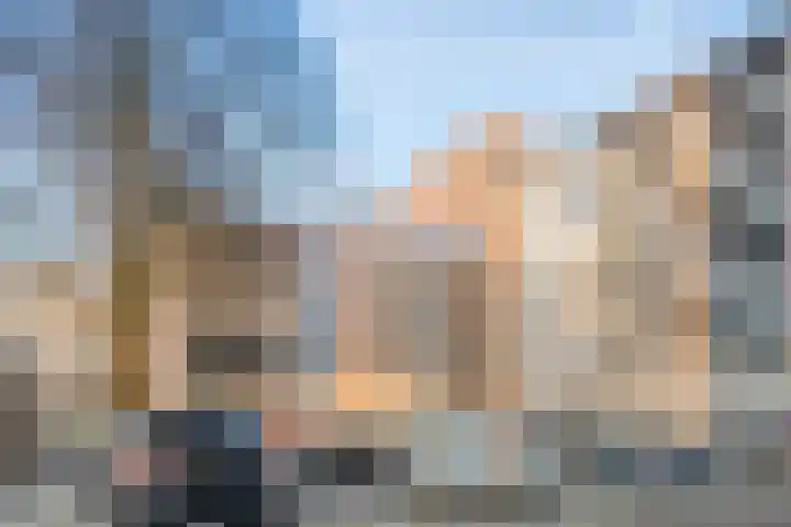 Pettelaarseweg 643 's-Hertogenbosch thumbnail 21