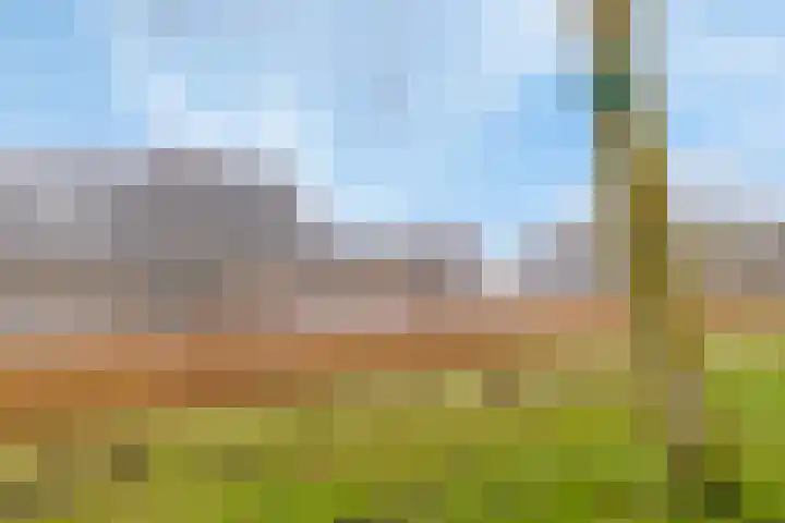 Pettelaarseweg 643 's-Hertogenbosch thumbnail 22