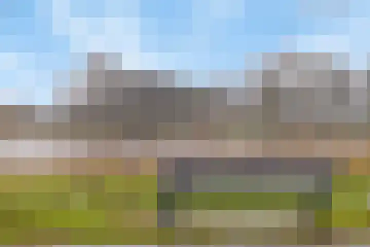Pettelaarseweg 643 's-Hertogenbosch thumbnail 23