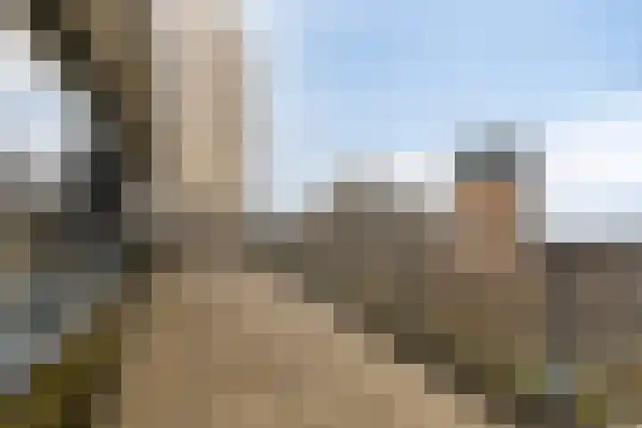 Pettelaarseweg 643 's-Hertogenbosch thumbnail 6
