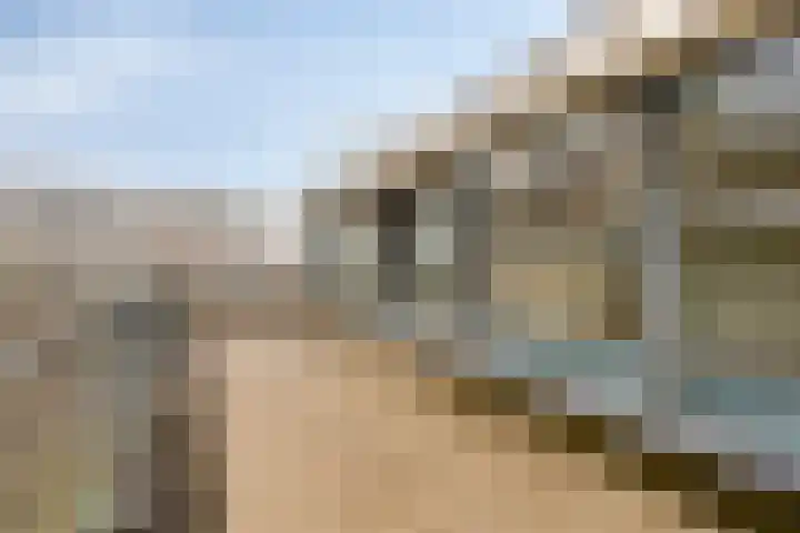 Pettelaarseweg 643 's-Hertogenbosch thumbnail 7