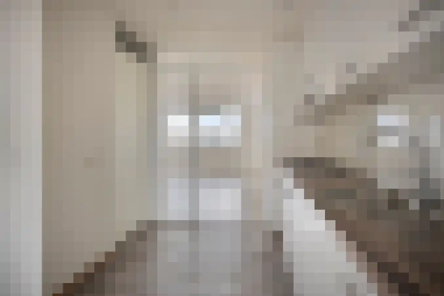 Pettelaarseweg 647 's-Hertogenbosch thumbnail 10