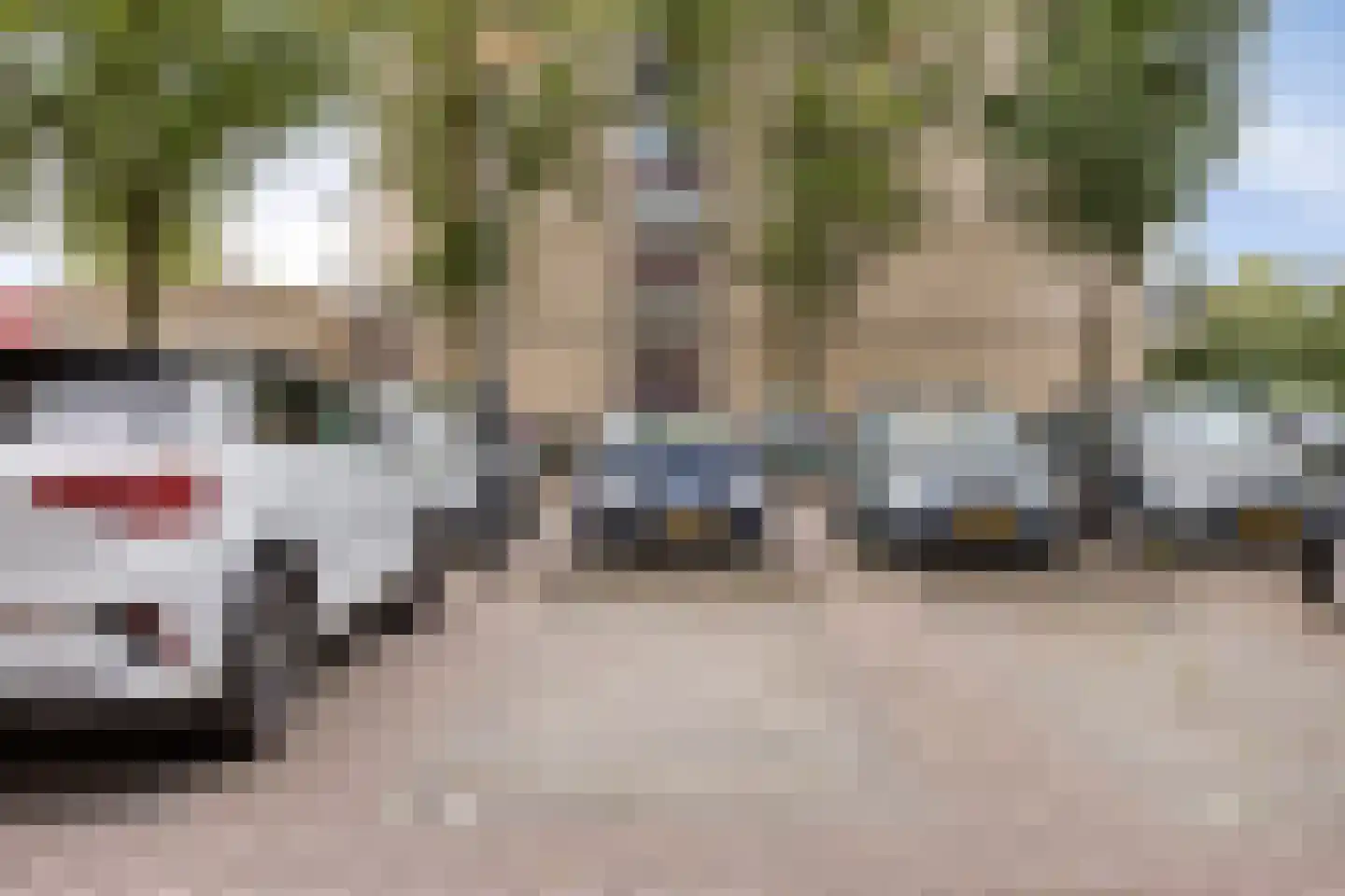 Pettelaarseweg 647 's-Hertogenbosch thumbnail 20