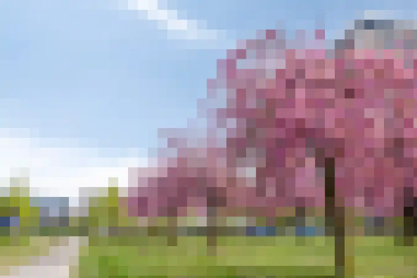 Pettelaarseweg 647 's-Hertogenbosch thumbnail 23