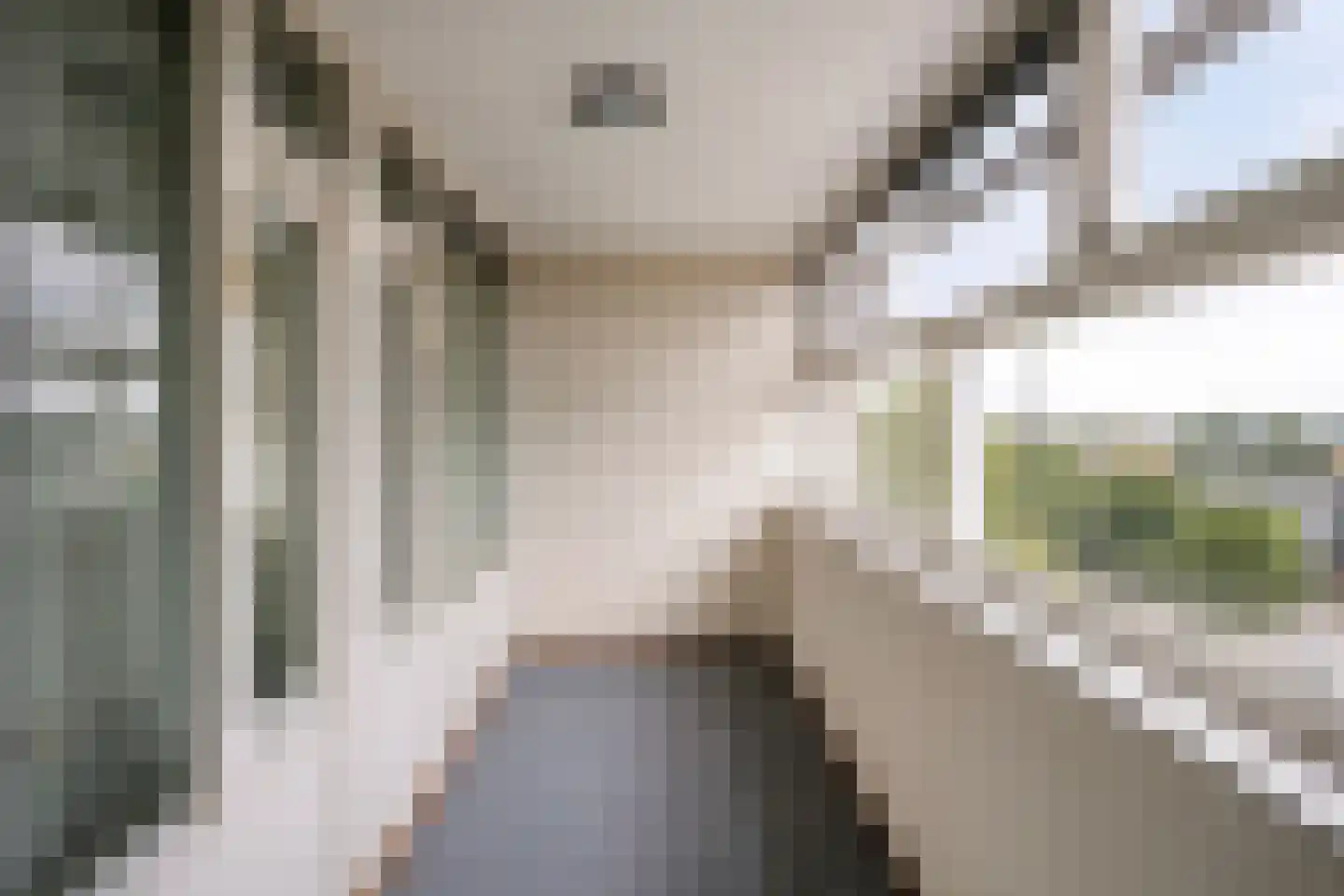 Pettelaarseweg 647 's-Hertogenbosch thumbnail 5