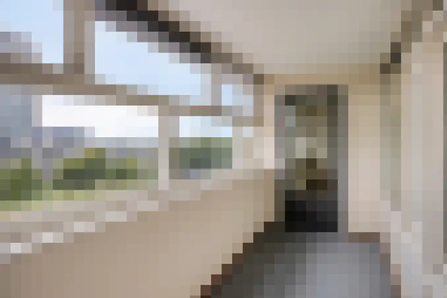 Pettelaarseweg 647 's-Hertogenbosch thumbnail 6