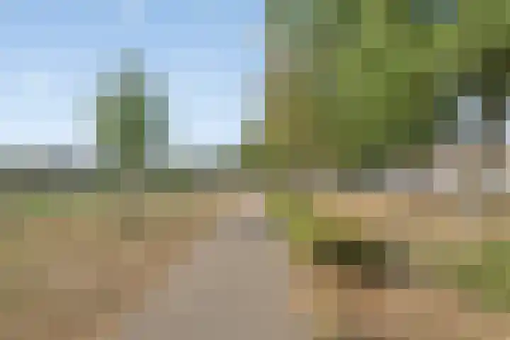 Pettelaarseweg 71 's-Hertogenbosch thumbnail 35