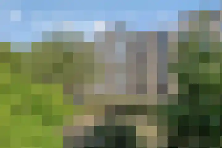 Pettelaarseweg 71 's-Hertogenbosch thumbnail 6