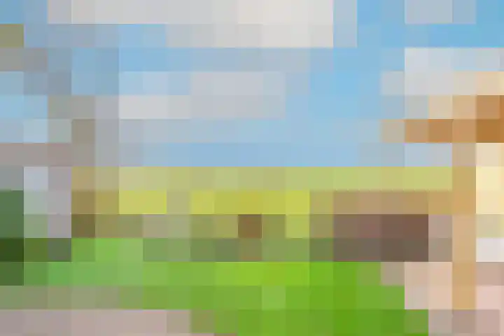 Pettemerweg 5 A Burgerbrug thumbnail 33