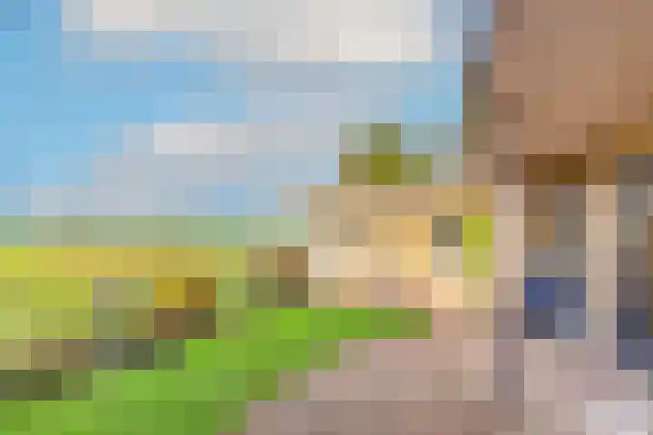 Pettemerweg 5 A Burgerbrug thumbnail 34