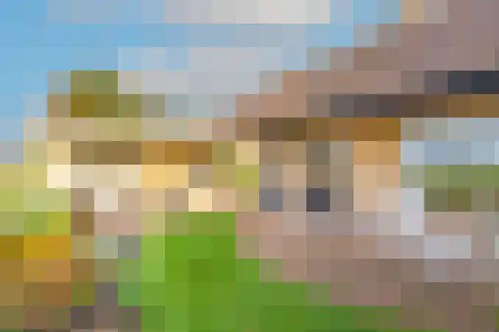 Pettemerweg 5 A Burgerbrug thumbnail 35