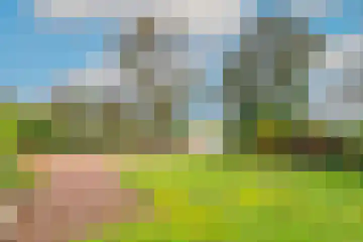 Pettemerweg 5 A Burgerbrug thumbnail 37