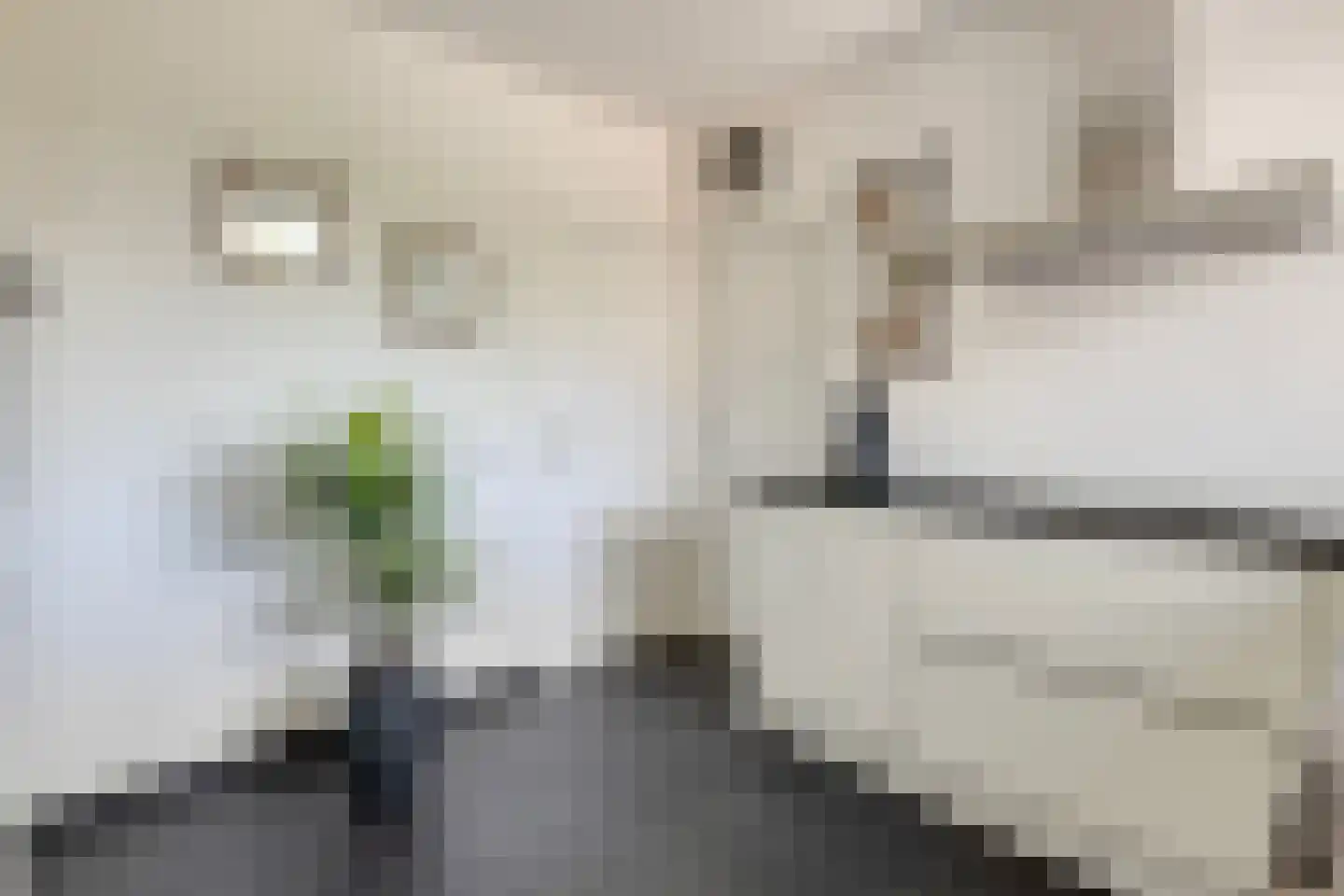 Pettenmakerstraat 1 Venray thumbnail 16