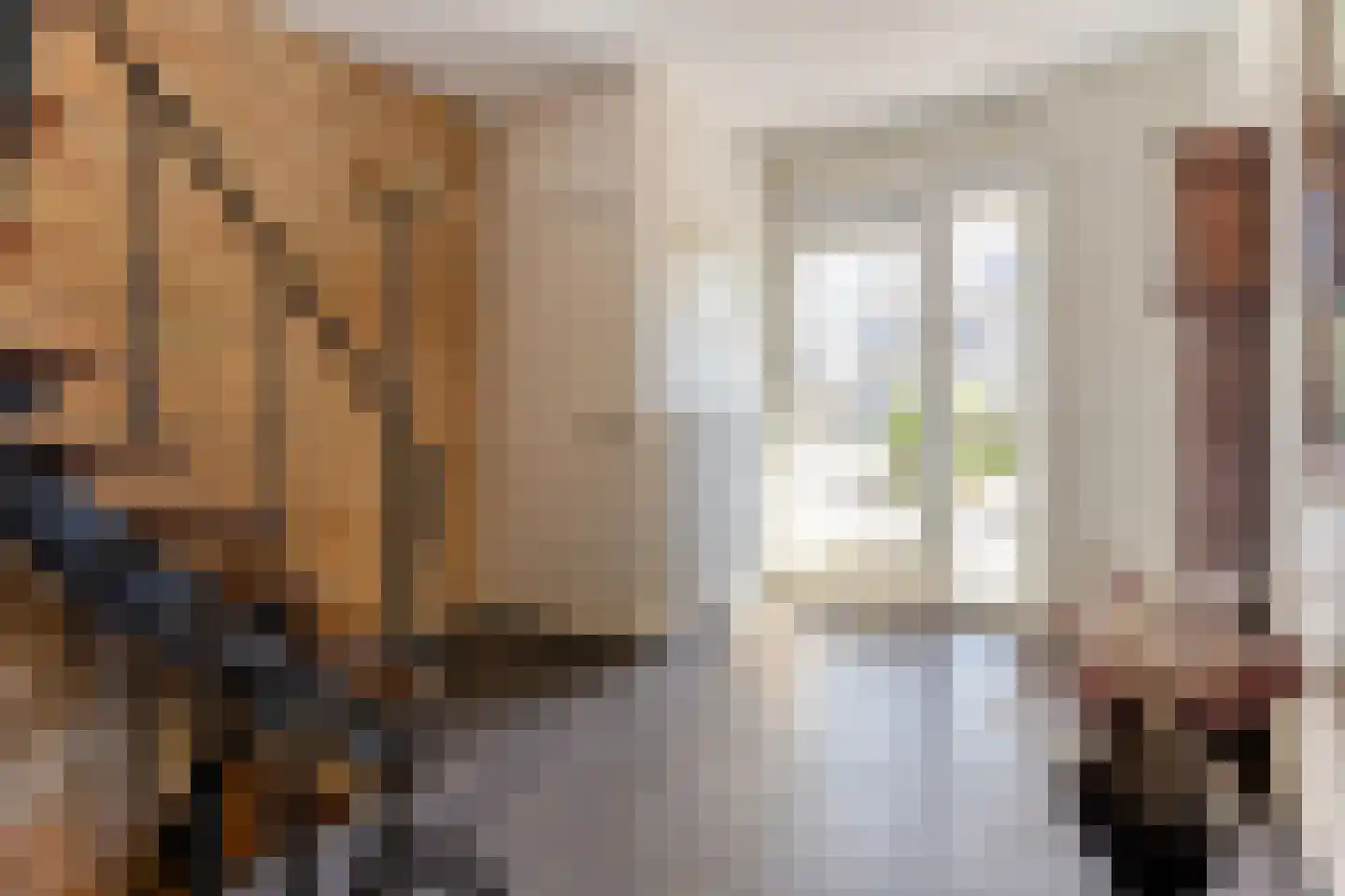 Pettenmakerstraat 1 Venray thumbnail 6