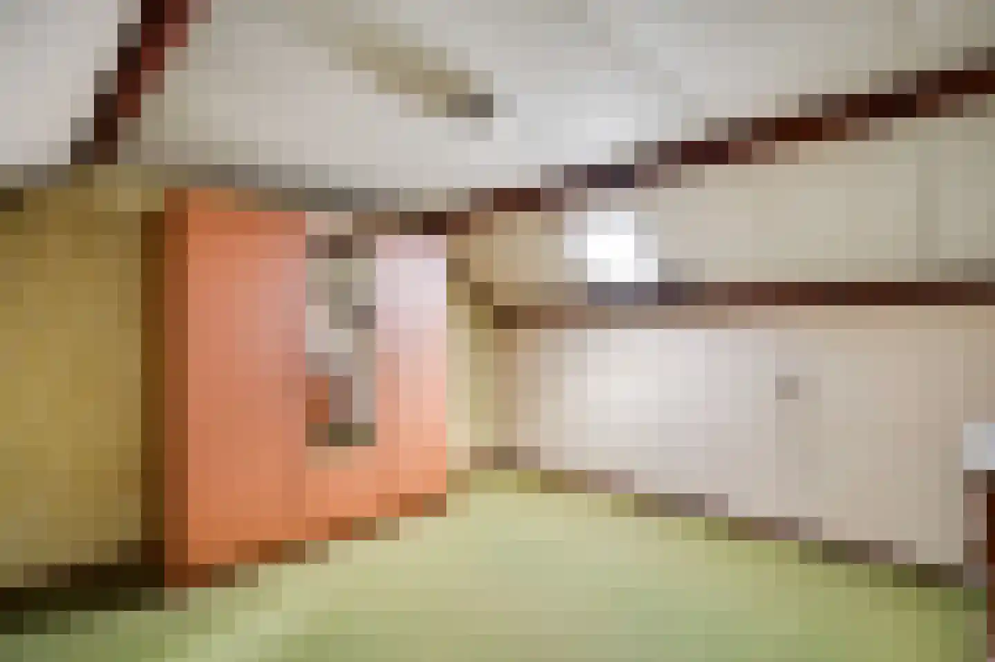 Pettenmakerstraat 10 Venray thumbnail 33
