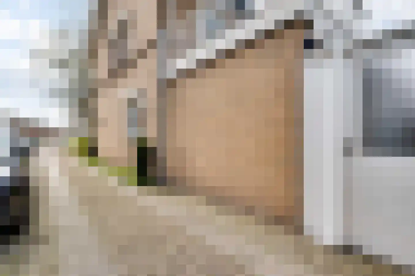 Pettenmakerstraat 10 Venray thumbnail 9