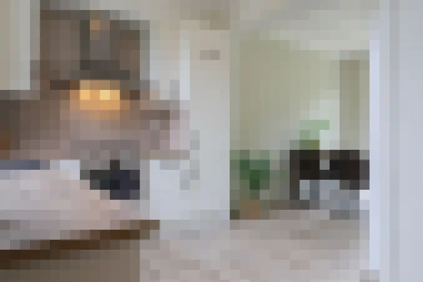 Petterhústerdyk 6 Stiens thumbnail 20
