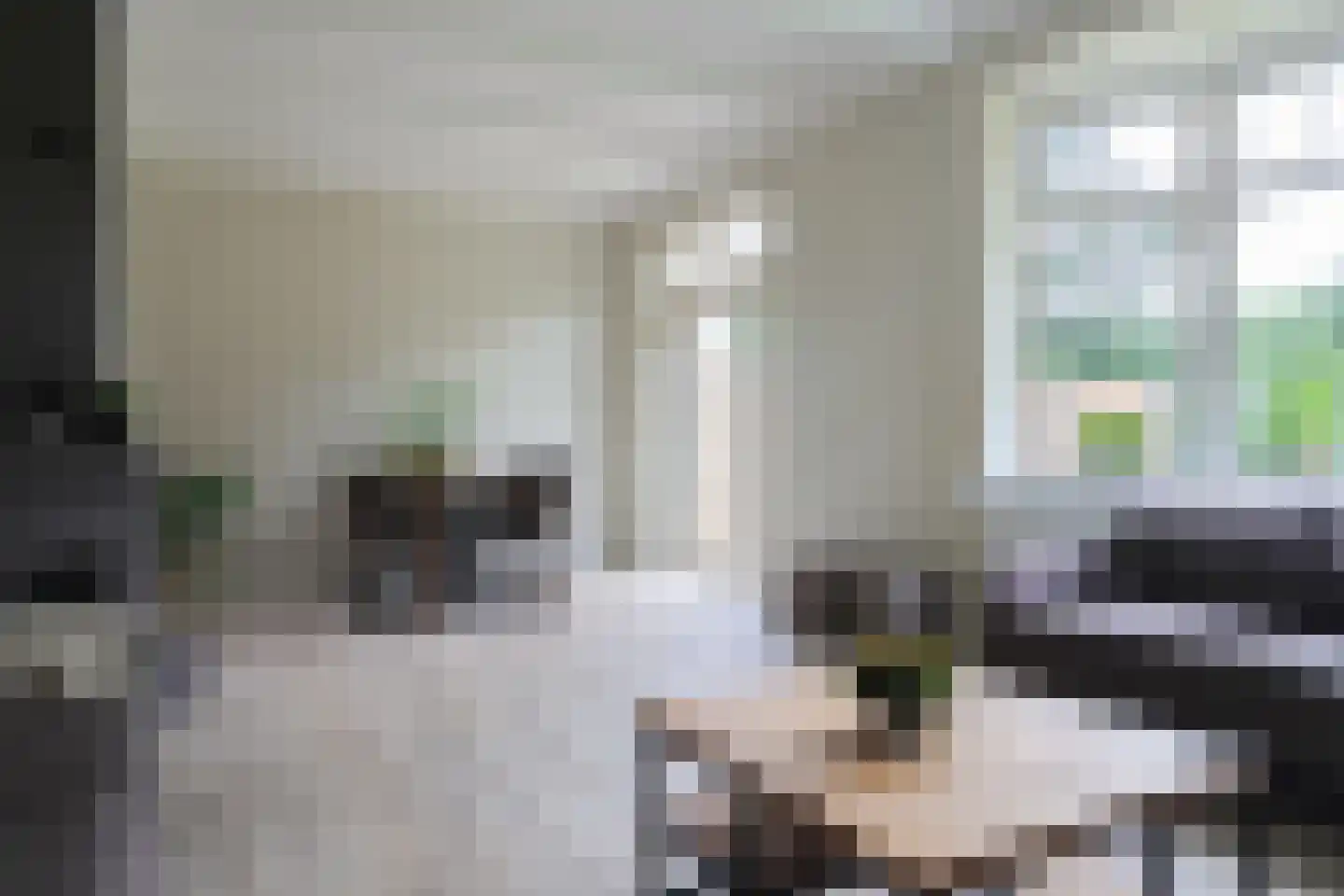 Petterhústerdyk 6 Stiens thumbnail 29