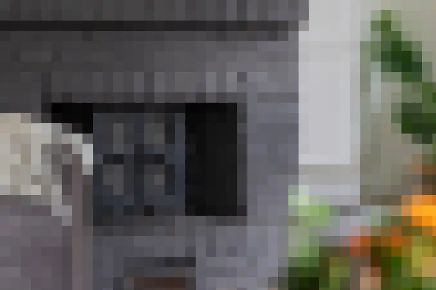 Petterhústerdyk 6 Stiens thumbnail 32