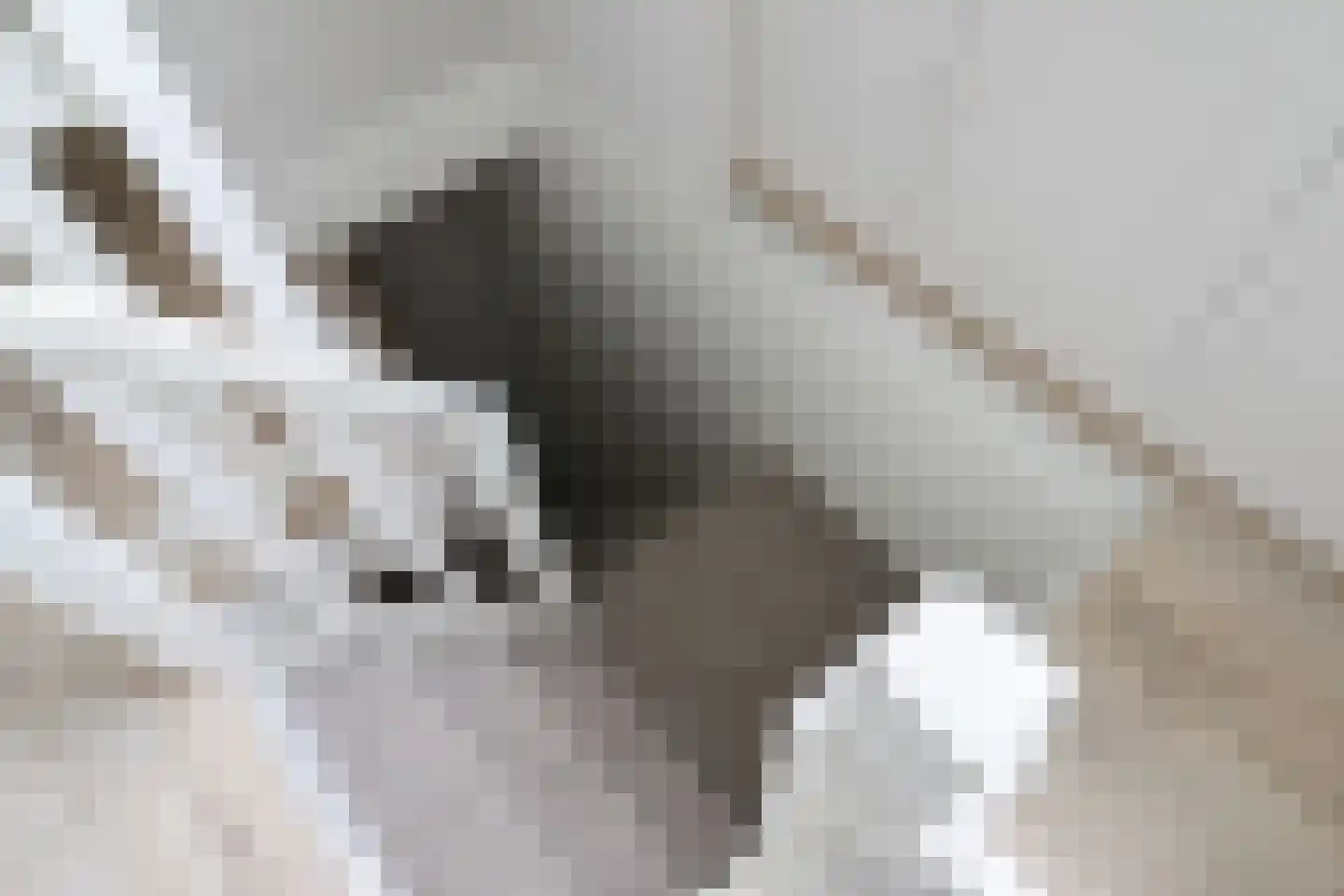 Petterhústerdyk 6 Stiens thumbnail 49