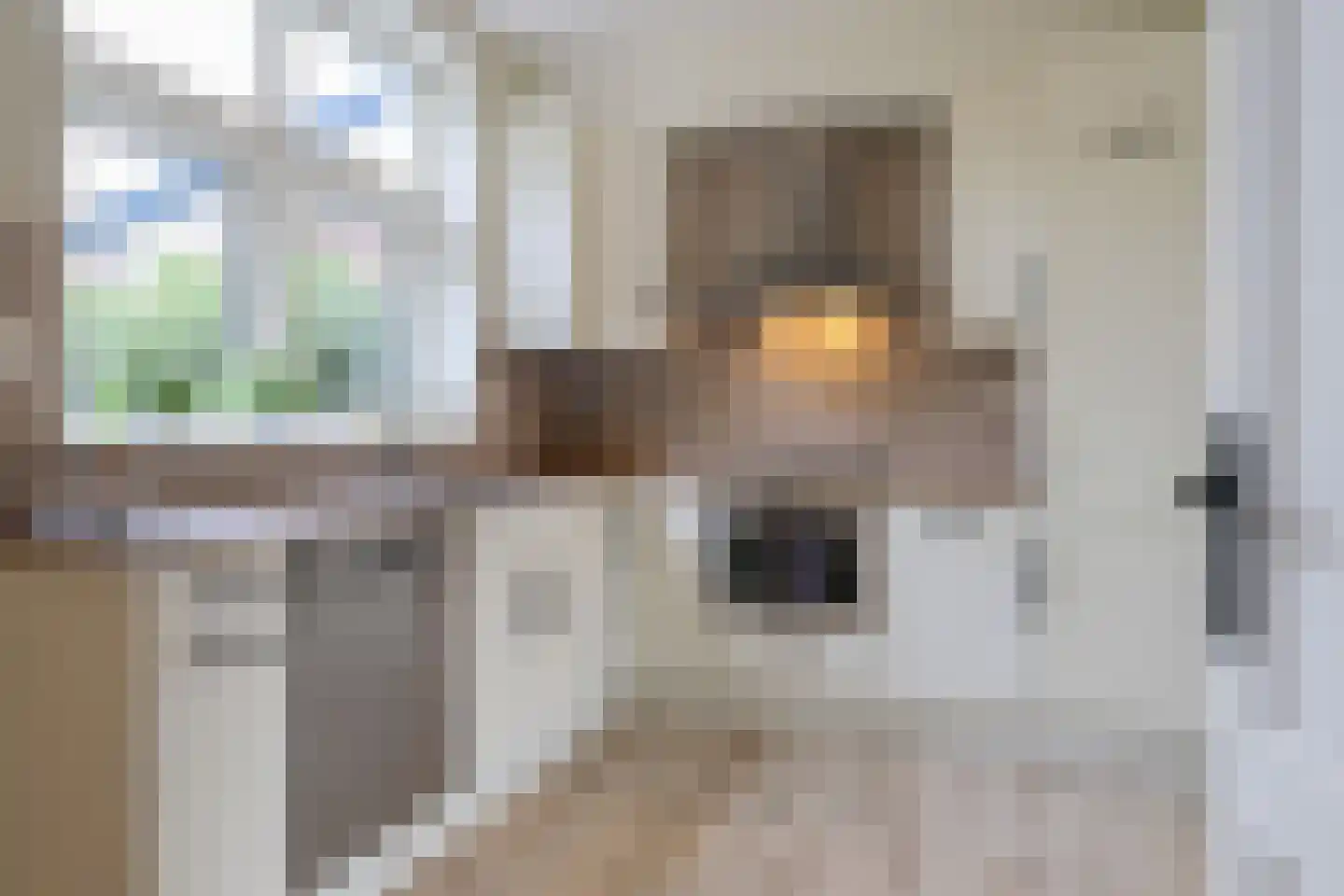 Petterhústerdyk 6 Stiens thumbnail 5