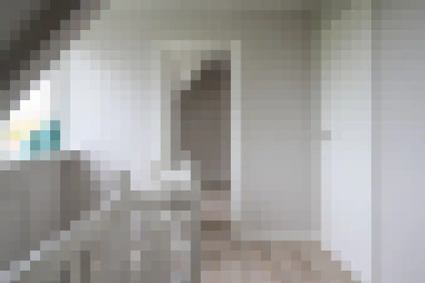 Petterhústerdyk 6 Stiens thumbnail 51