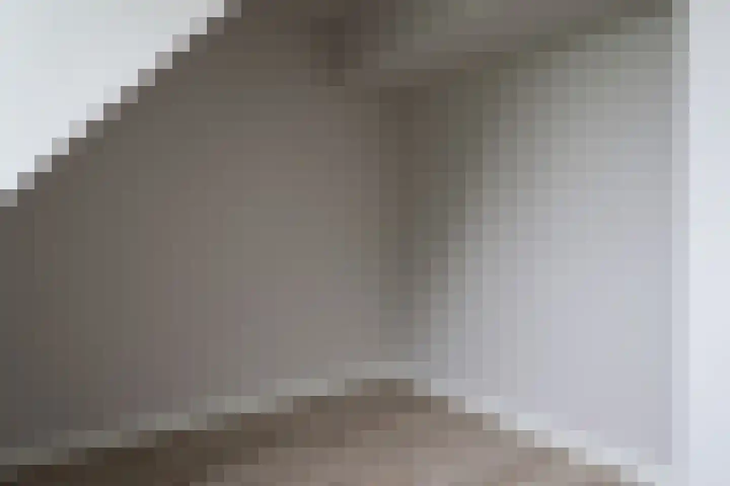 Petterhústerdyk 6 Stiens thumbnail 53