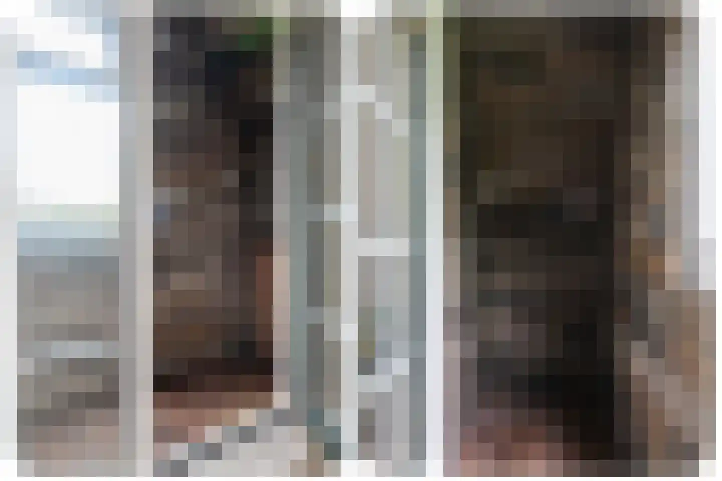 Petterhústerdyk 6 Stiens thumbnail 62