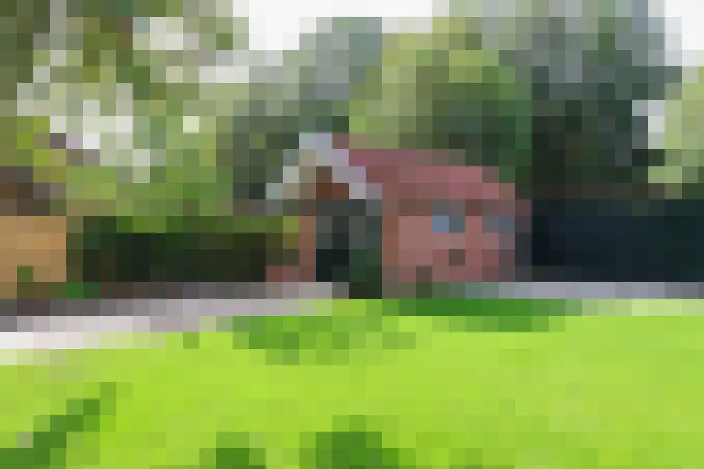 Petterhústerdyk 6 Stiens thumbnail 7