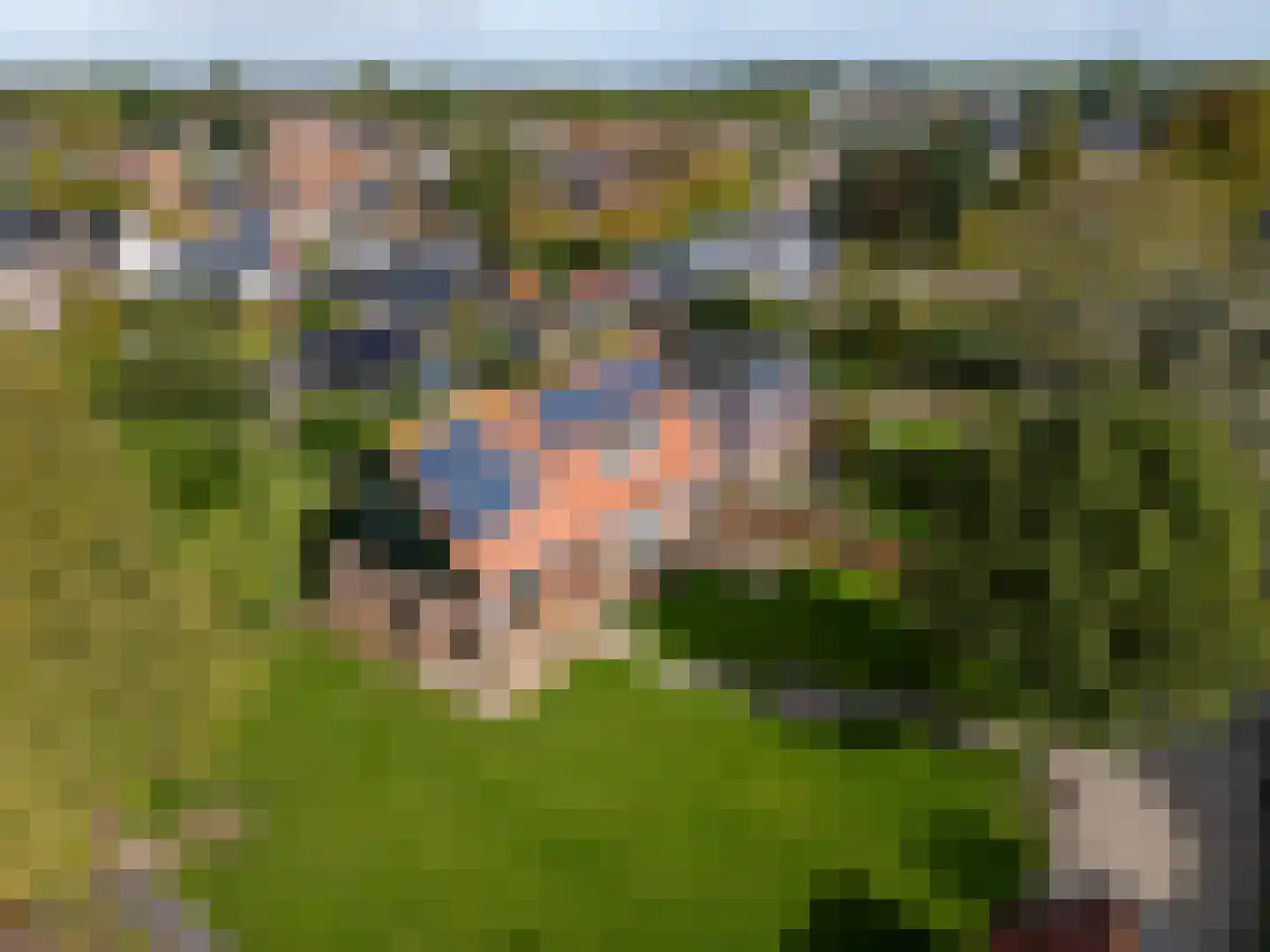 Petterhústerdyk 6 Stiens thumbnail 9