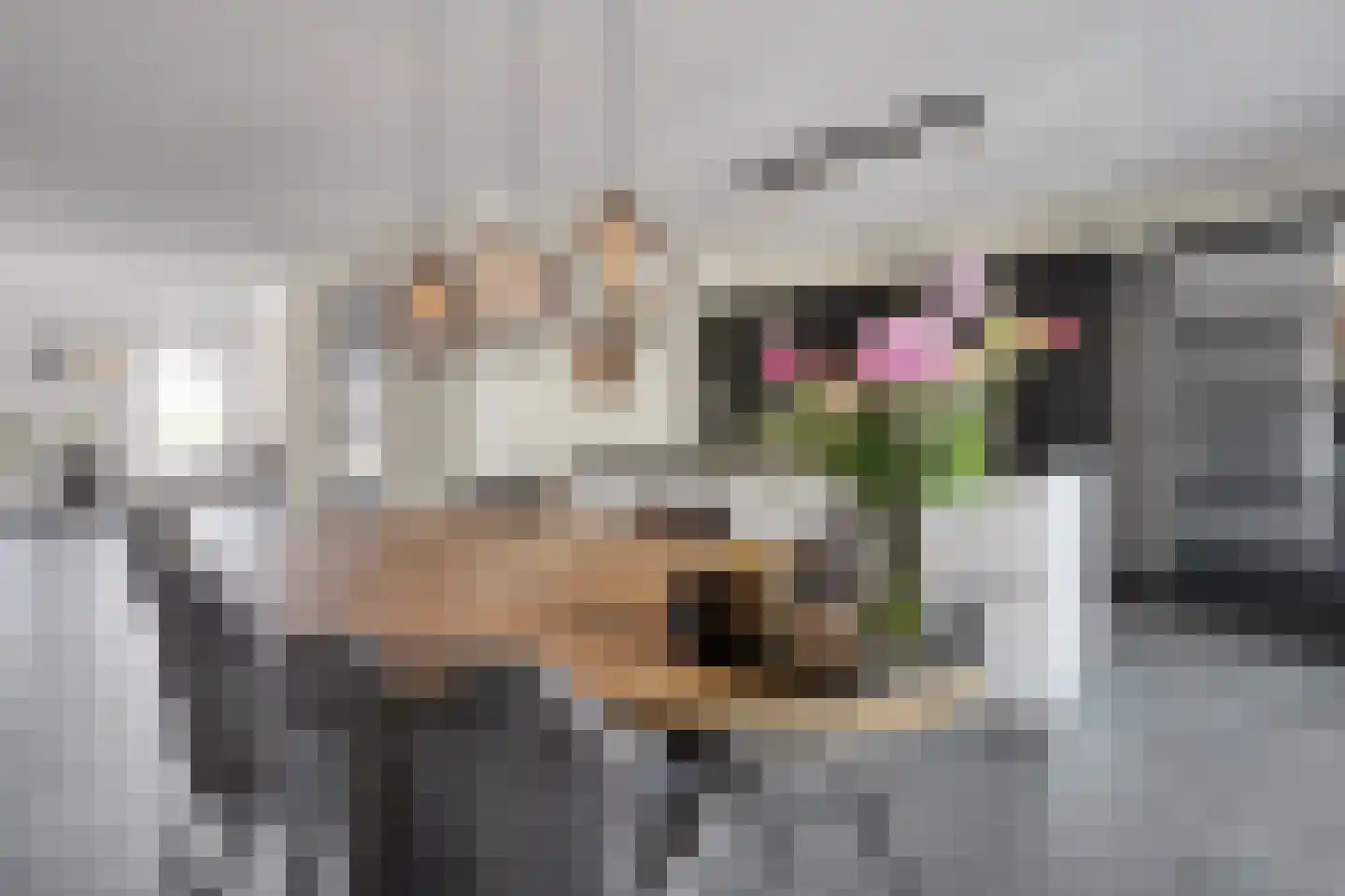 Petunia 5 Ens thumbnail 12