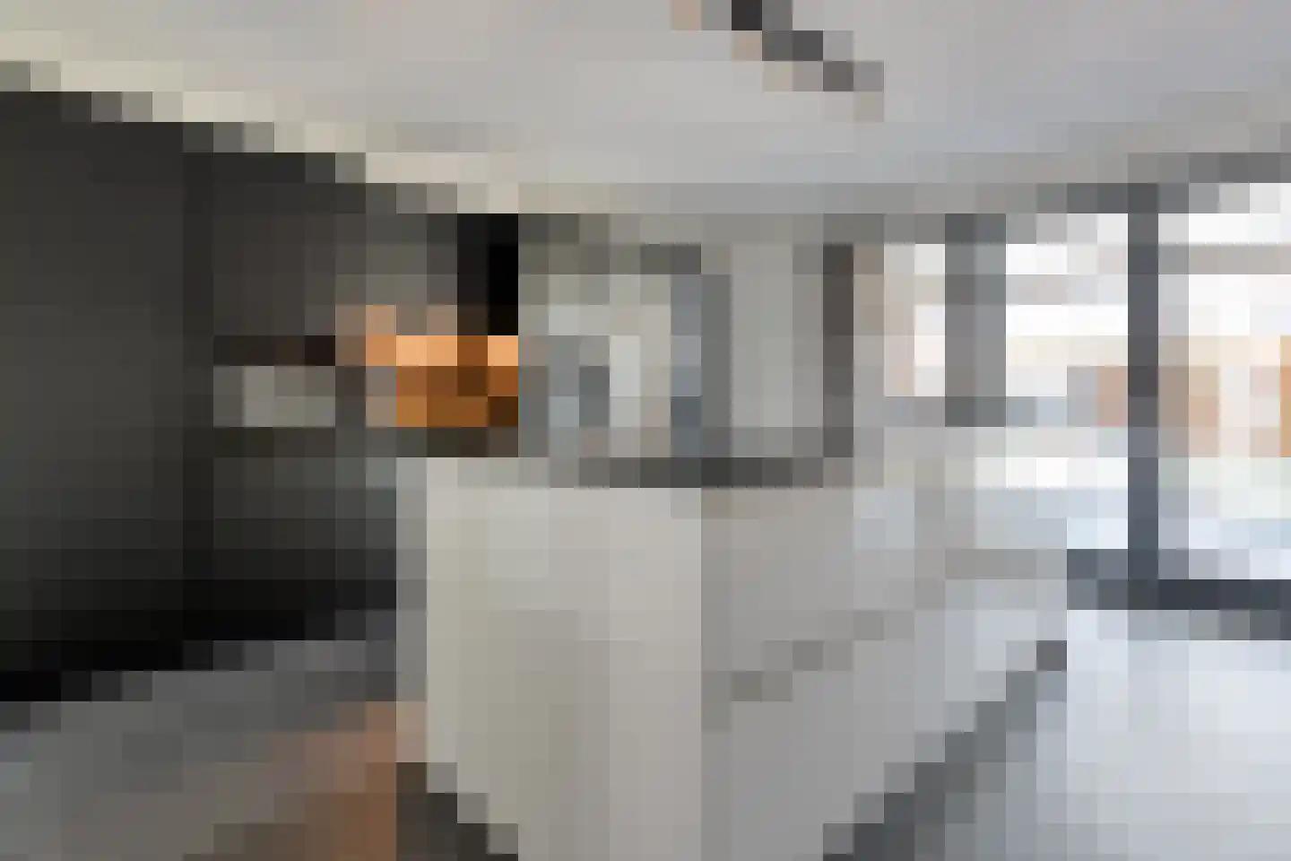 Petunia 5 Ens thumbnail 13